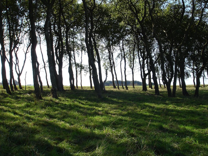 Fil:Østerbølle 1.jpg