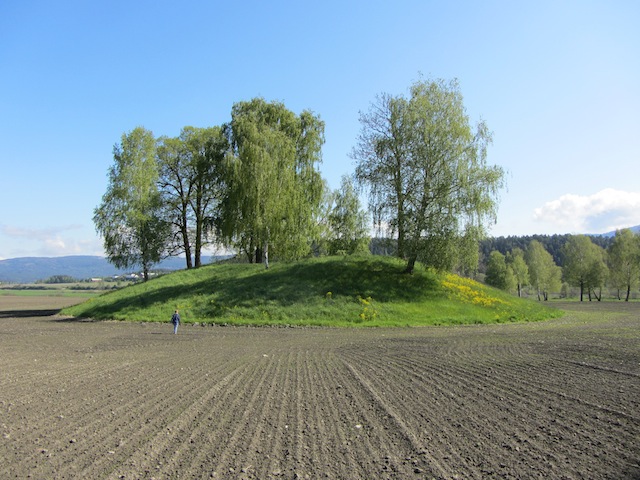 Fil:Halvdanshaugen 8.jpg