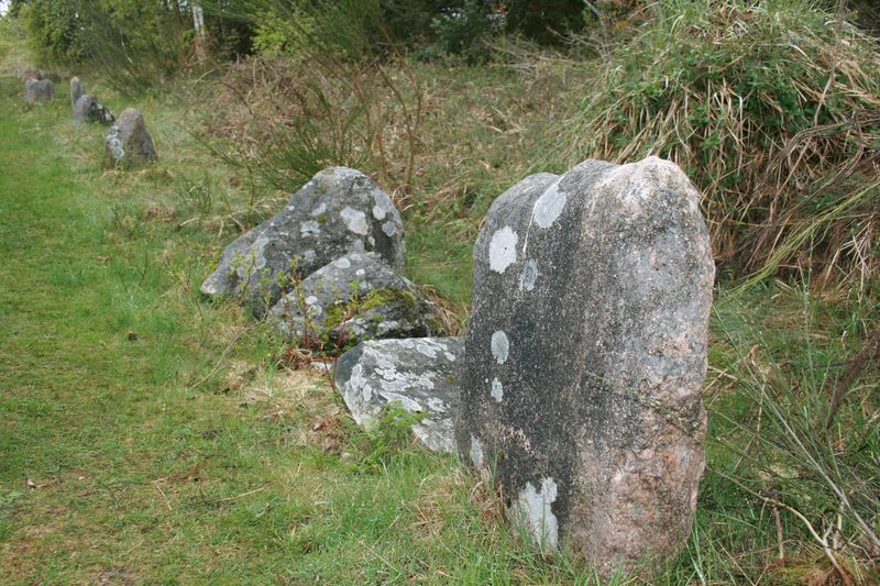 Fil:Myrhøj Stenkiste.jpg