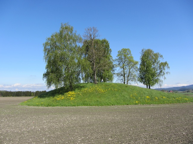 Fil:Halvdanshaugen 5.jpg