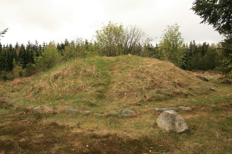 Fil:Myrhøj Gravhøj.jpg