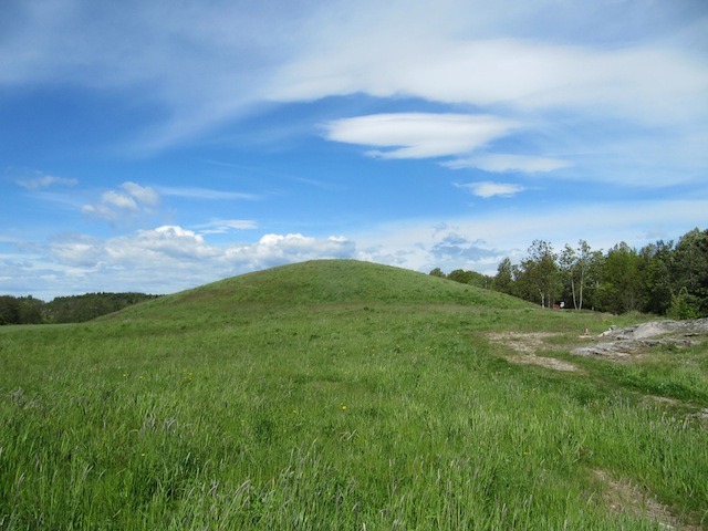 Fil:Jellhaugen 8.jpg