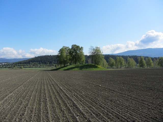 Fil:Halvdanshaugen 7.jpg