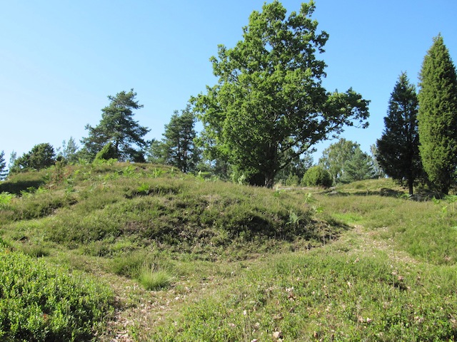 Fil:Järnåldergavfält vid Millesviks kyrka 2.jpg