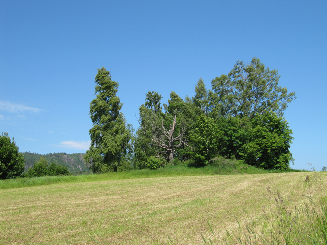 Fil:Prinsehaugen 1.jpg