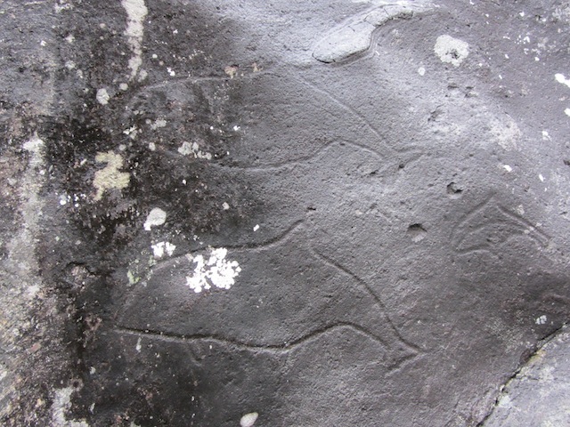 Fil:Helleristningene på Søbstadklubben på Averøy 4.jpg