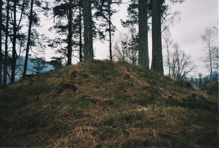 Fil:Hanehaug 1.jpg