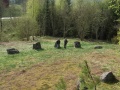 Vrångstad domarring.jpg