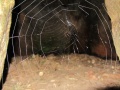 Balle runddysse 6.jpg