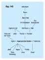 ST 145.jpg