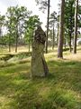 Blomsholm 13.jpg