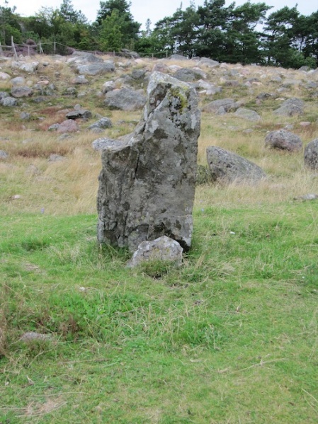 Fil:Pilane gravfält 6.jpg