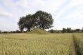 Balle runddysse 3.jpg