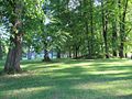 Gravhaug ved Nordre Skøyen Hovedgård 3.jpg