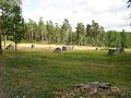Blomsholm 14.jpg