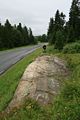 Holtås 1.jpg