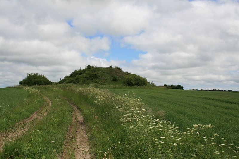 Fil:Hjallerup Store Galgehøj.jpg