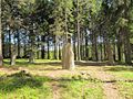 Gunnarstorp 10.jpg