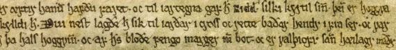 Fagrskinna fragment.jpeg