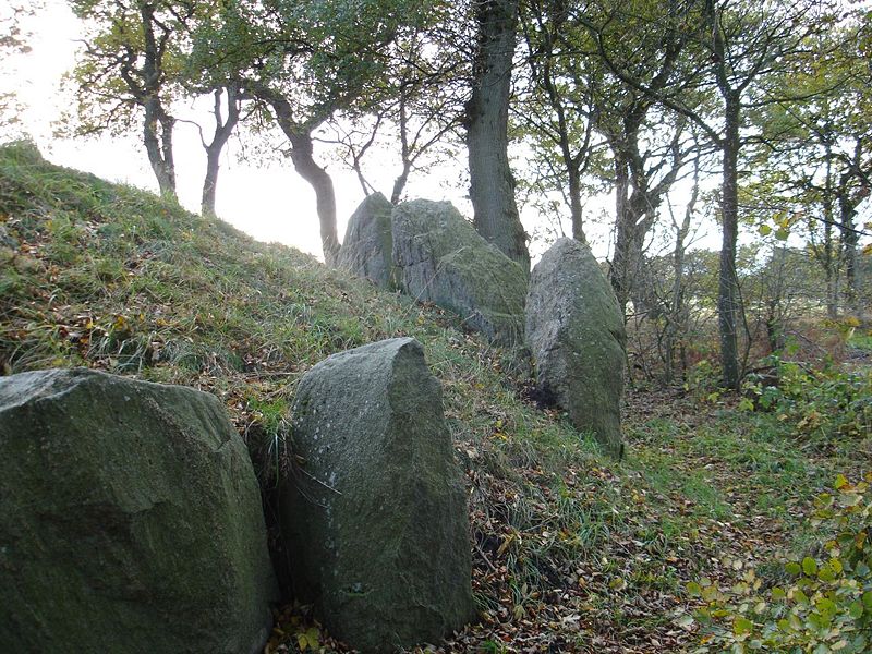 Fil:Voldstedlund 8.jpg
