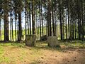 Gunnarstorp 14.jpg