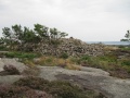 Vetteberget 3.jpg