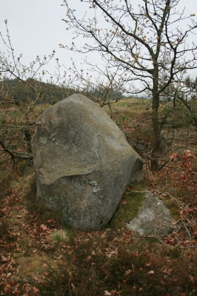 Fil:Troldsting Bautasten.jpg