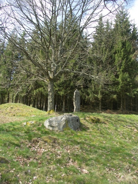Fil:Vrångstad gravfält 08.jpg