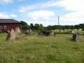 Drottning Hackas grav (Svensbydösen) 2.jpg
