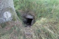 Balle runddysse 4.jpg