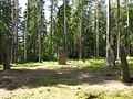 Gunnarstorp 8.jpg