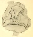 Figur 12 (NGVFF).jpg