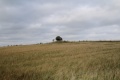 Knebel Skellerup Dyssekammer 6.jpg