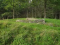 Leby 4.jpg