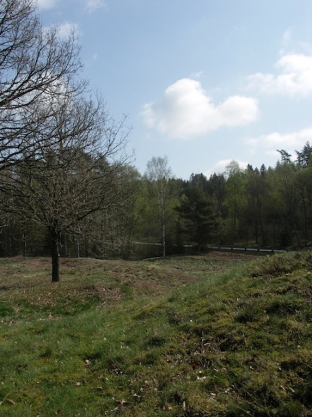 Fil:Vrångstad gravfält 05.jpg