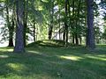 Gravhaug ved Nordre Skøyen Hovedgård 4.jpg