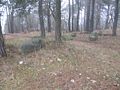Steinsetting på Ekeberg 2.jpg