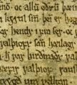 Fagrskinna fragment2.jpeg