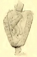 Figur 5 (NGVFF).jpg