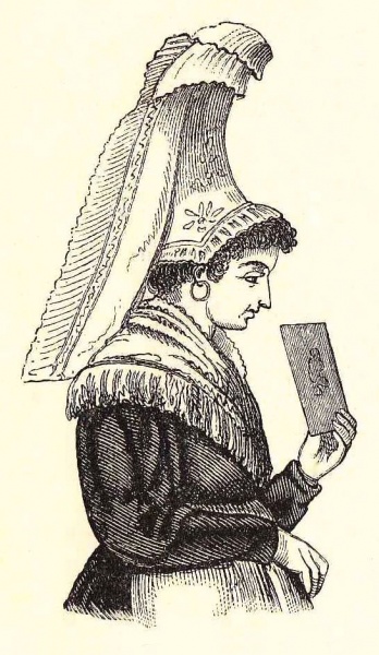 Fil:Normannisk Krogfold.jpg