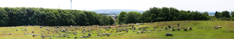 Fil:Lindholm Høje Pano.jpg