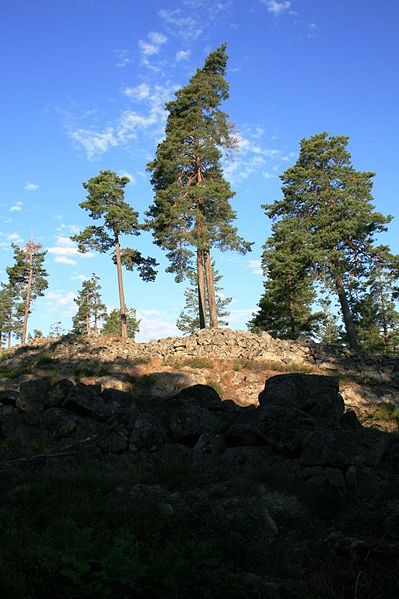 Fil:Tarsta Fornborg 1.jpg