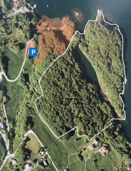 Fil:Bøkeskogen ved Vollum.jpg