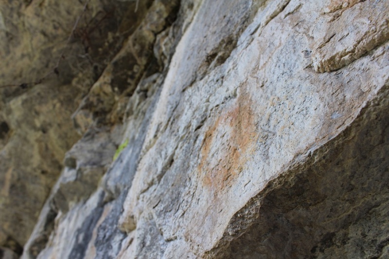 Fil:Geithidleren i Årsand 14.jpg