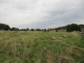 Pilane gravfält 11.jpg