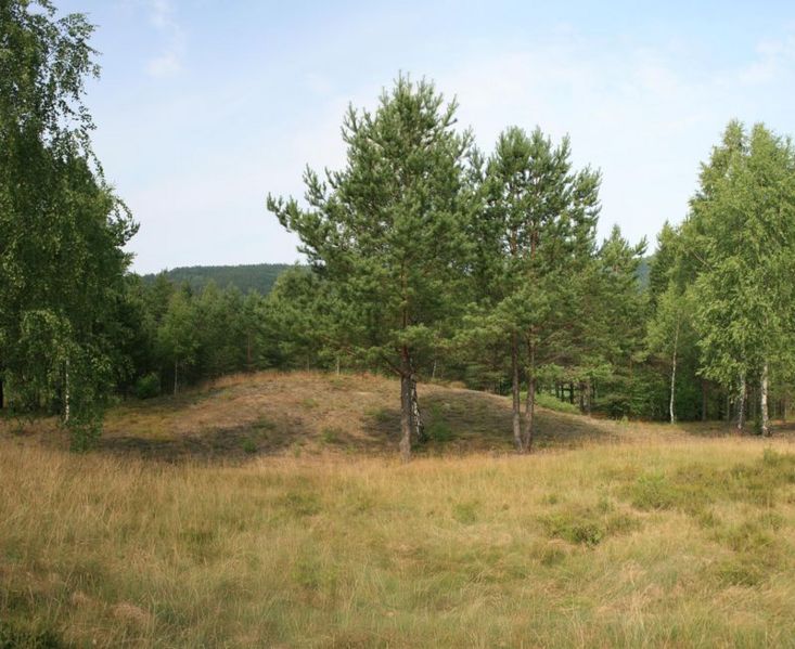 Fil:Kongshaugen Evje .jpg