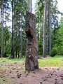 Gunnarstorp 15.jpg