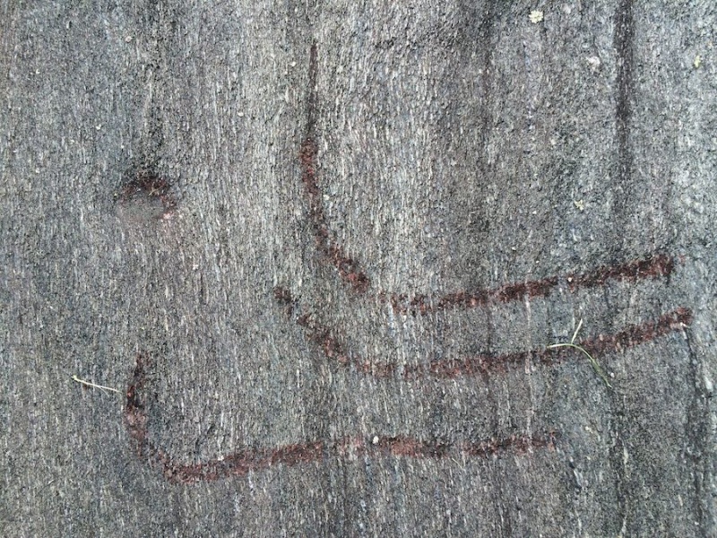 Fil:Helleristninger i Herand 30.jpg