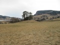 Byrkjehaugen 5.jpg