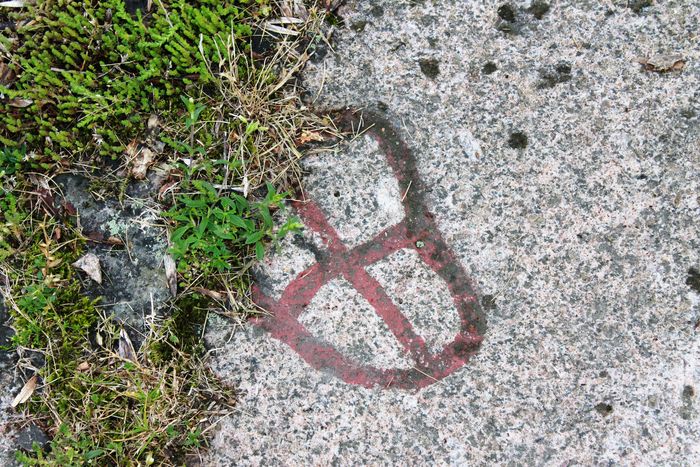 Fil:Gärstad Helleristninger 2.jpg